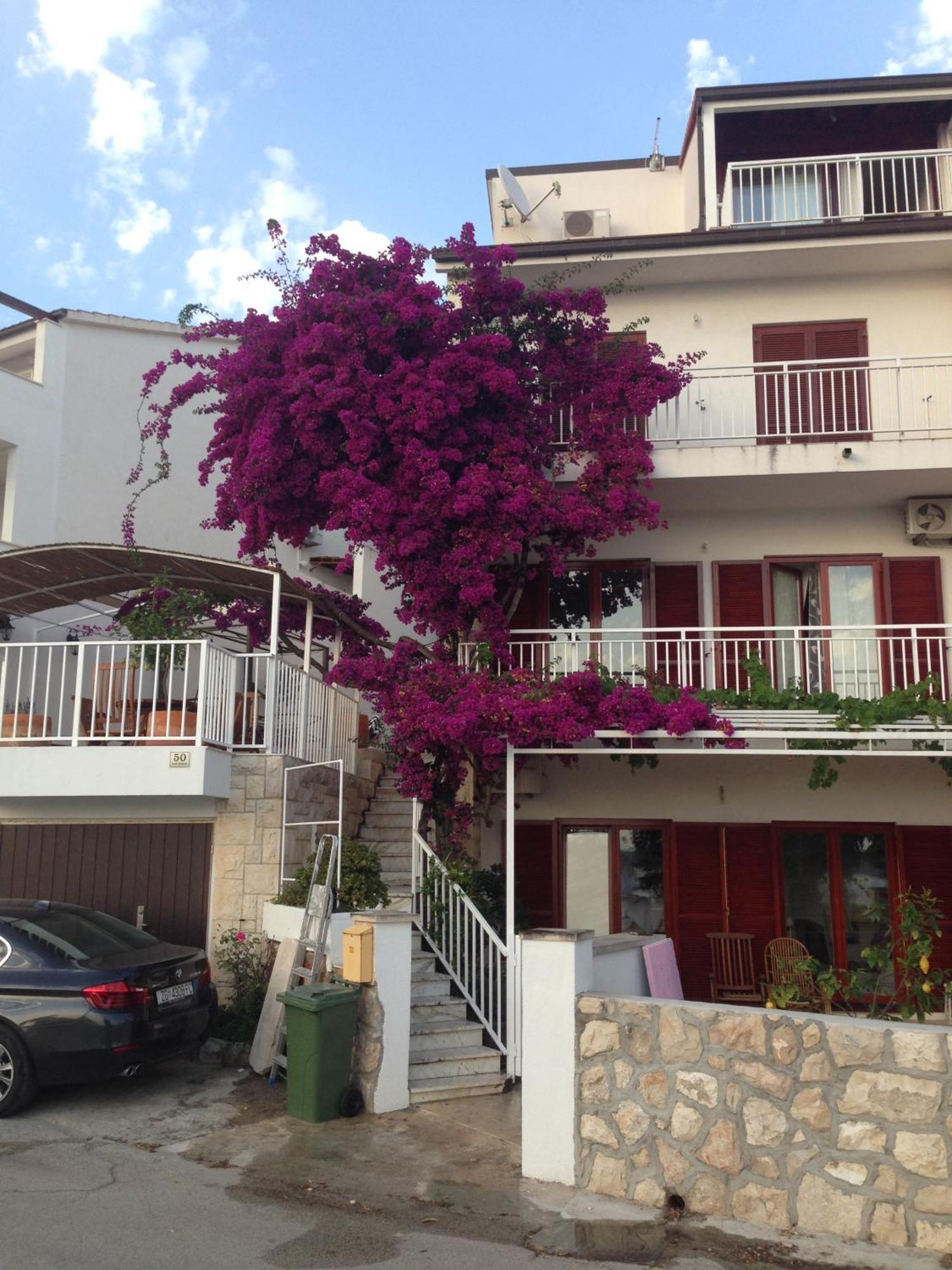 Apartment Duda Hvar Town Exterior foto